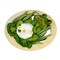 Roman 8.5 Inch Frog Garden Stepping Stone Summer Garden Stepping Stone , Indoor Outdoor